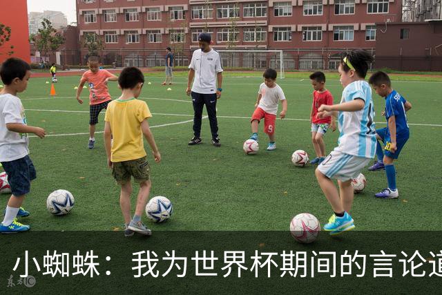 小蜘蛛：我为世界杯期间的言论道歉，换作我是球迷也会生气