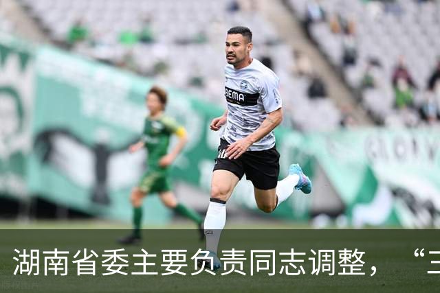 湖南省委主要负责同志调整，“三个高地”建设成果更丰硕