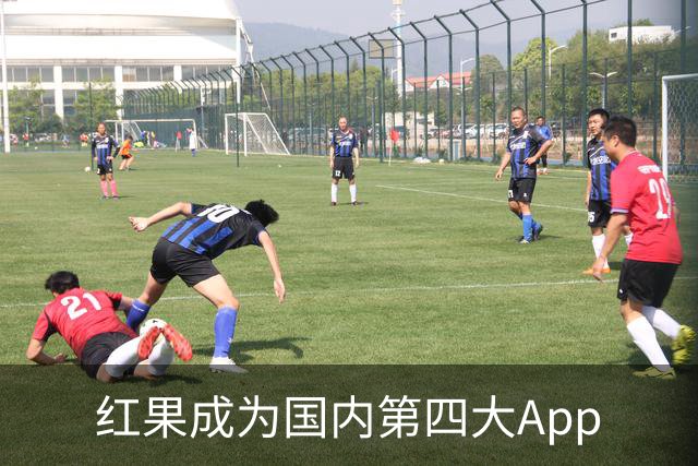 红果成为国内第四大App