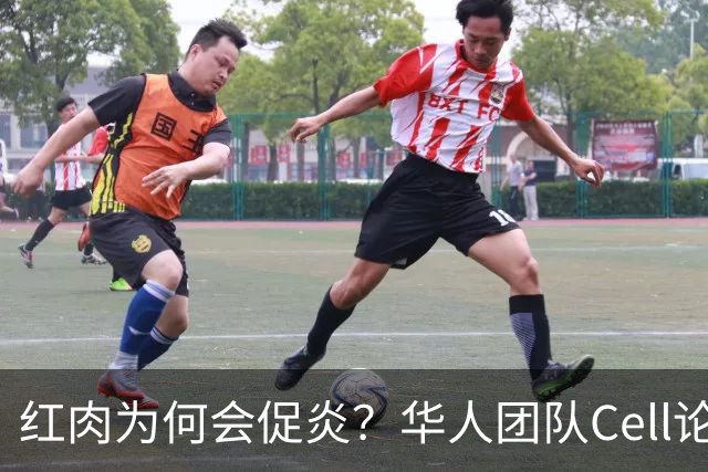 红肉为何会促炎？华人团队Cell论文：红肉及肌肉损伤产生的左旋肉碱会激活炎性小体，加剧炎症