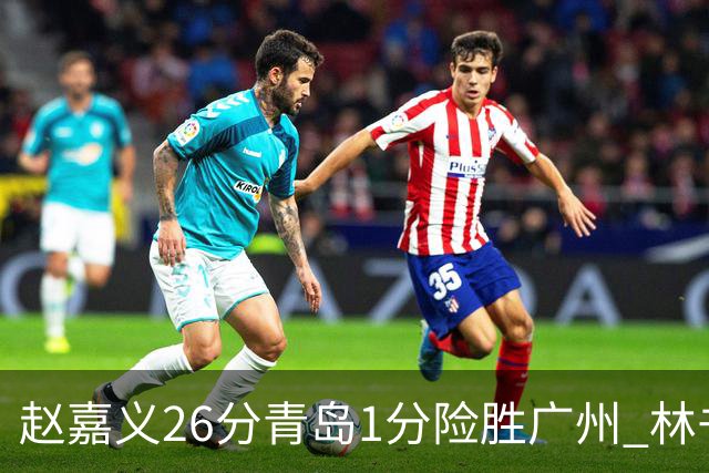 赵嘉义26分青岛1分险胜广州 林书豪8分4助攻