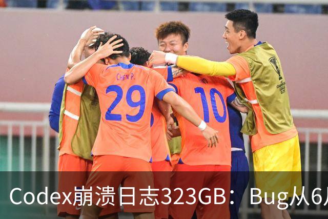 Codex崩溃日志323GB：Bug从6月拖至今