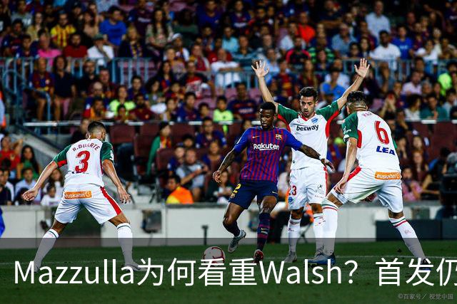 Mazzulla为何看重Walsh？首发仍未知